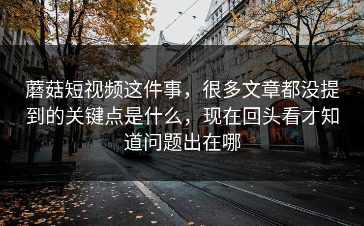 蘑菇短视频这件事，很多文章都没提到的关键点是什么，现在回头看才知道问题出在哪