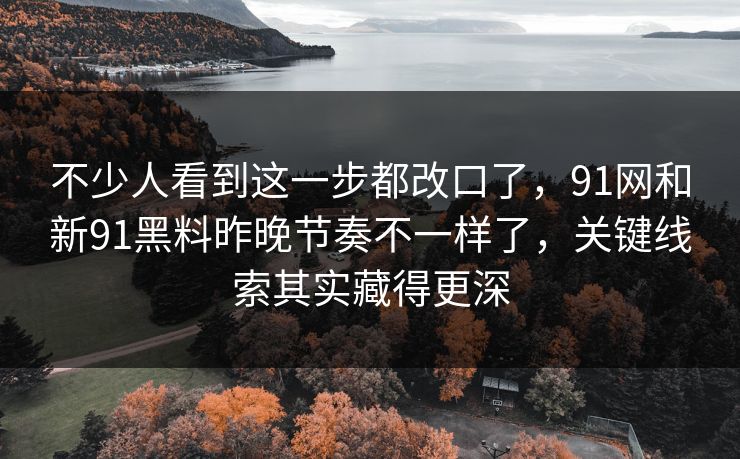 不少人看到这一步都改口了，91网和新91黑料昨晚节奏不一样了，关键线索其实藏得更深