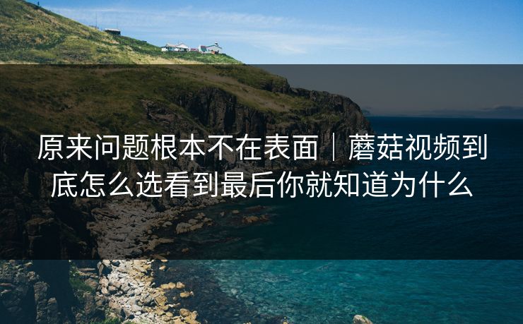原来问题根本不在表面｜蘑菇视频到底怎么选看到最后你就知道为什么