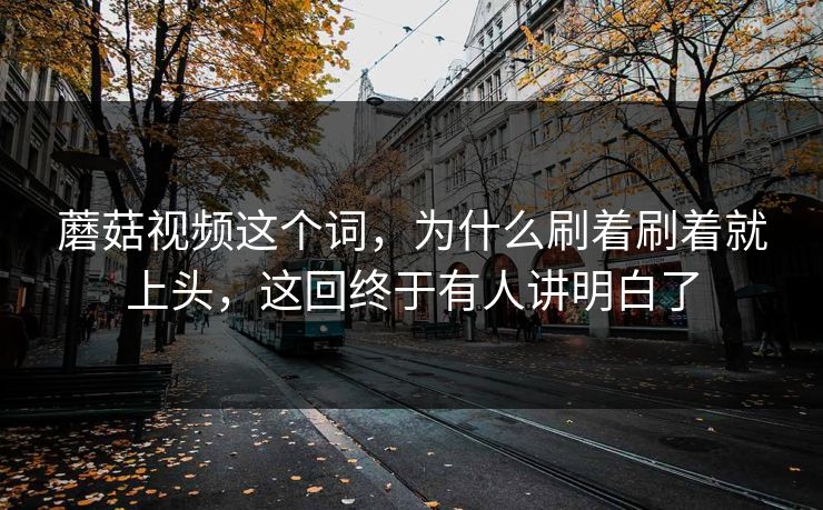 蘑菇视频这个词，为什么刷着刷着就上头，这回终于有人讲明白了