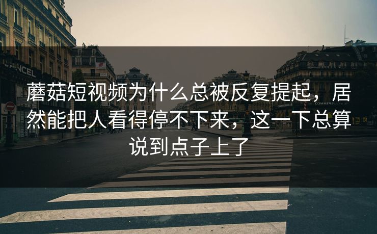 蘑菇短视频为什么总被反复提起，居然能把人看得停不下来，这一下总算说到点子上了