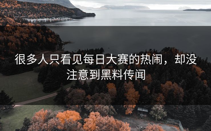 很多人只看见每日大赛的热闹，却没注意到黑料传闻