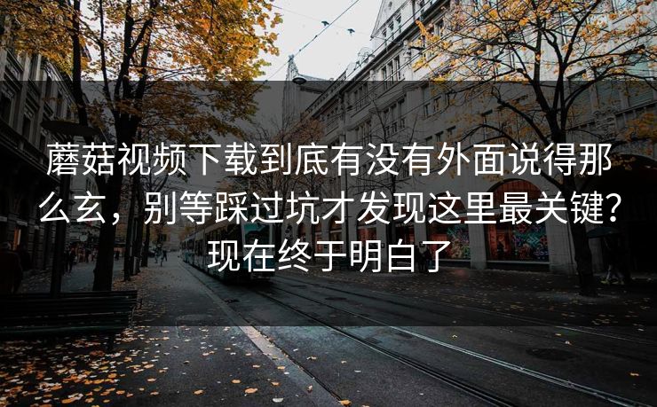 蘑菇视频下载到底有没有外面说得那么玄，别等踩过坑才发现这里最关键？现在终于明白了