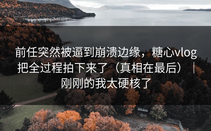 前任突然被逼到崩溃边缘，糖心vlog把全过程拍下来了（真相在最后）｜刚刚的我太硬核了