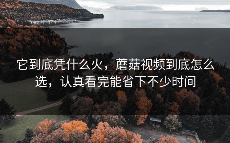 它到底凭什么火，蘑菇视频到底怎么选，认真看完能省下不少时间