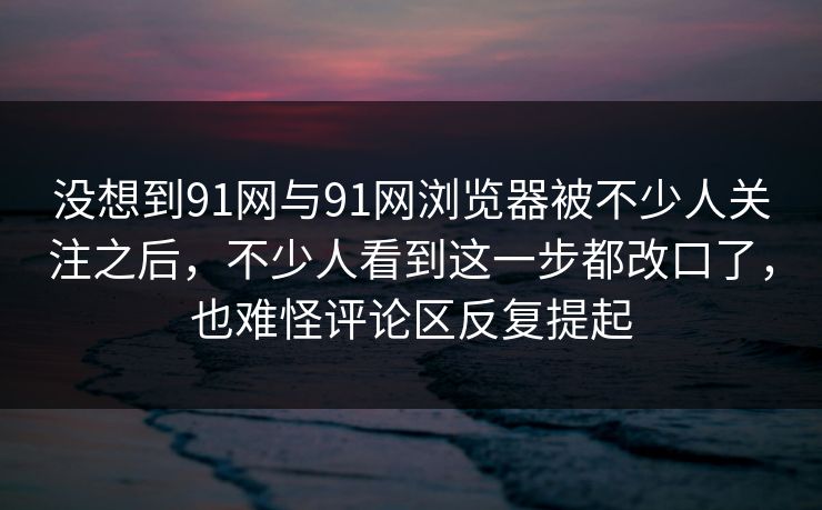 没想到91网与91网浏览器被不少人关注之后，不少人看到这一步都改口了，也难怪评论区反复提起
